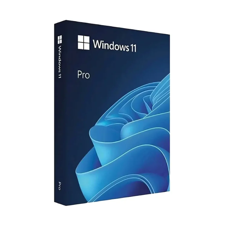 Windows 11 Professionnel